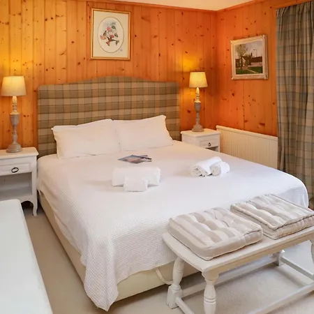 Apartment Argentiere 3 By Interhome Villars-sur-Ollon
