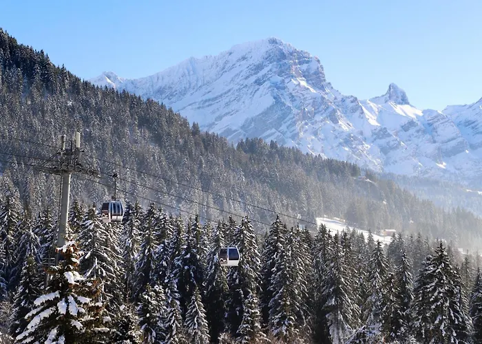 Apartman Argentiere 3 By Interhome Villars-sur-Ollon