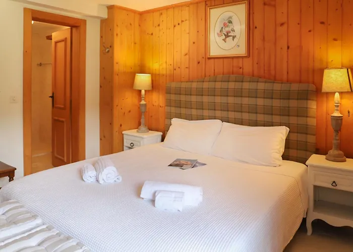 Argentiere 3 By Interhome * Villars-sur-Ollon